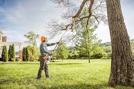 Professional  Tree Services in Midtown, TN